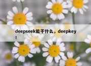 deepseek能干什么，deepkey！